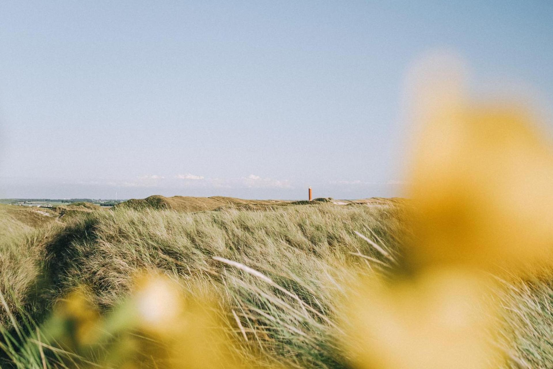 Vakantiehuis Beau - Julianadorp Aan Zee Exterior foto
